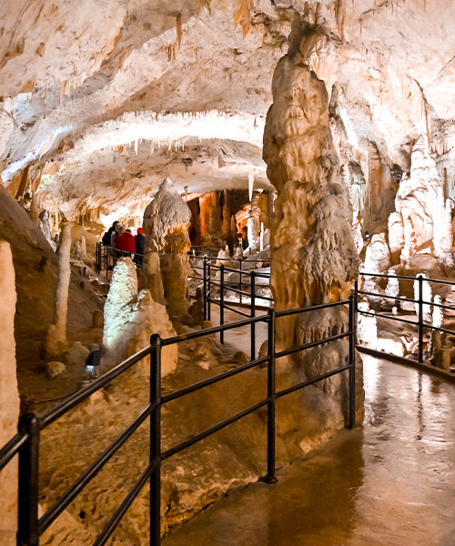 slider_500X600_11-TRIESTE,-LUBIANA-E-POSTUMIA