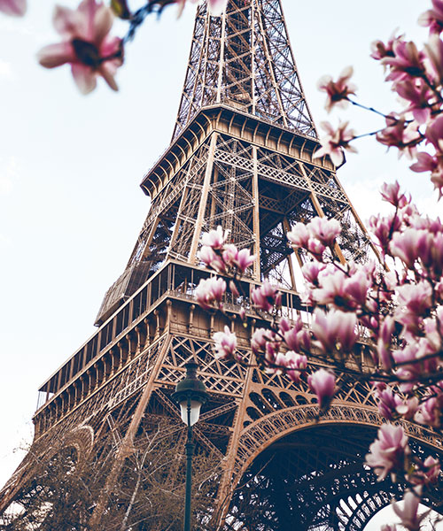 slider_500X600_30-PARIGI